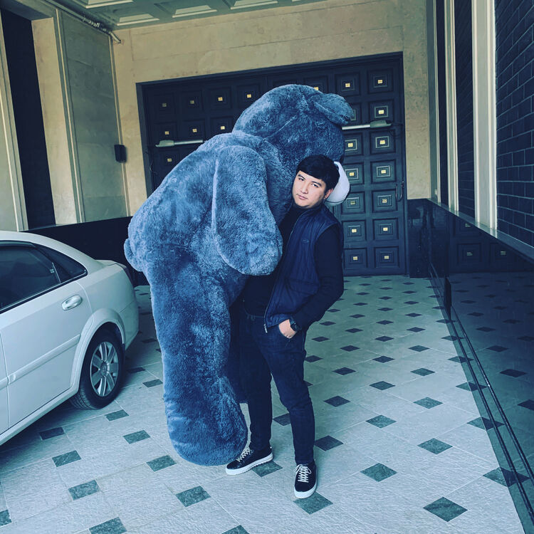 ���������� �������, ���� ������� Sardor, 36 ���, ������������ ��� ������, ����� � ���������