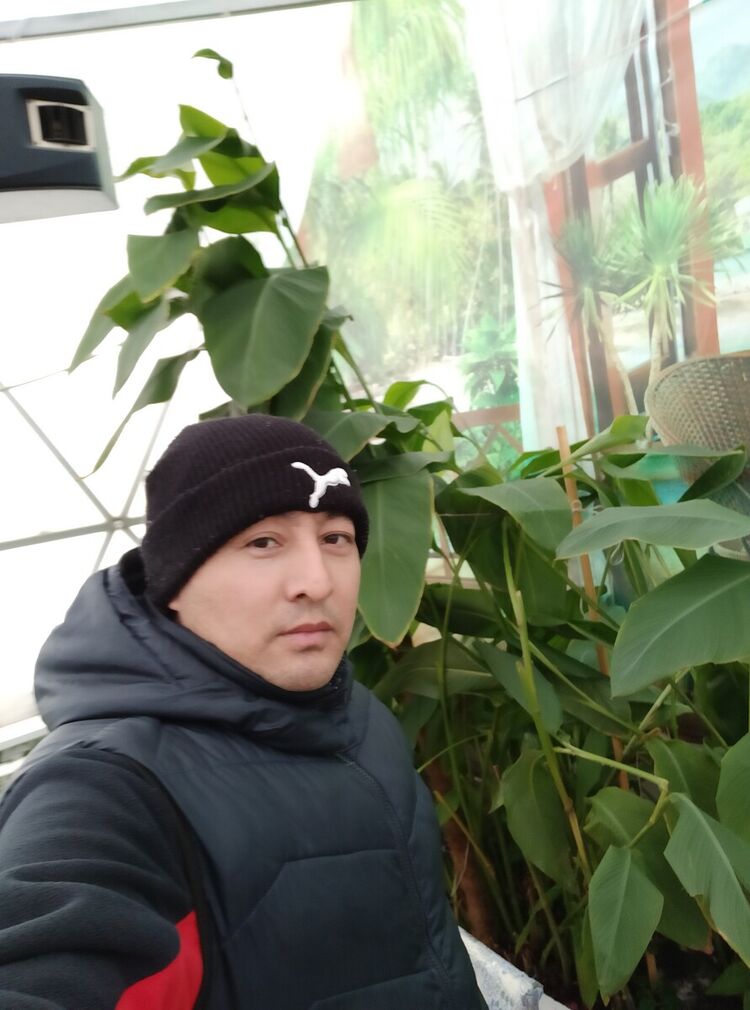 ���������� ��������, ���� ������� ������, 41 ���, ������������ ��� ������, ����� � ���������, c�������� ���������, ���������