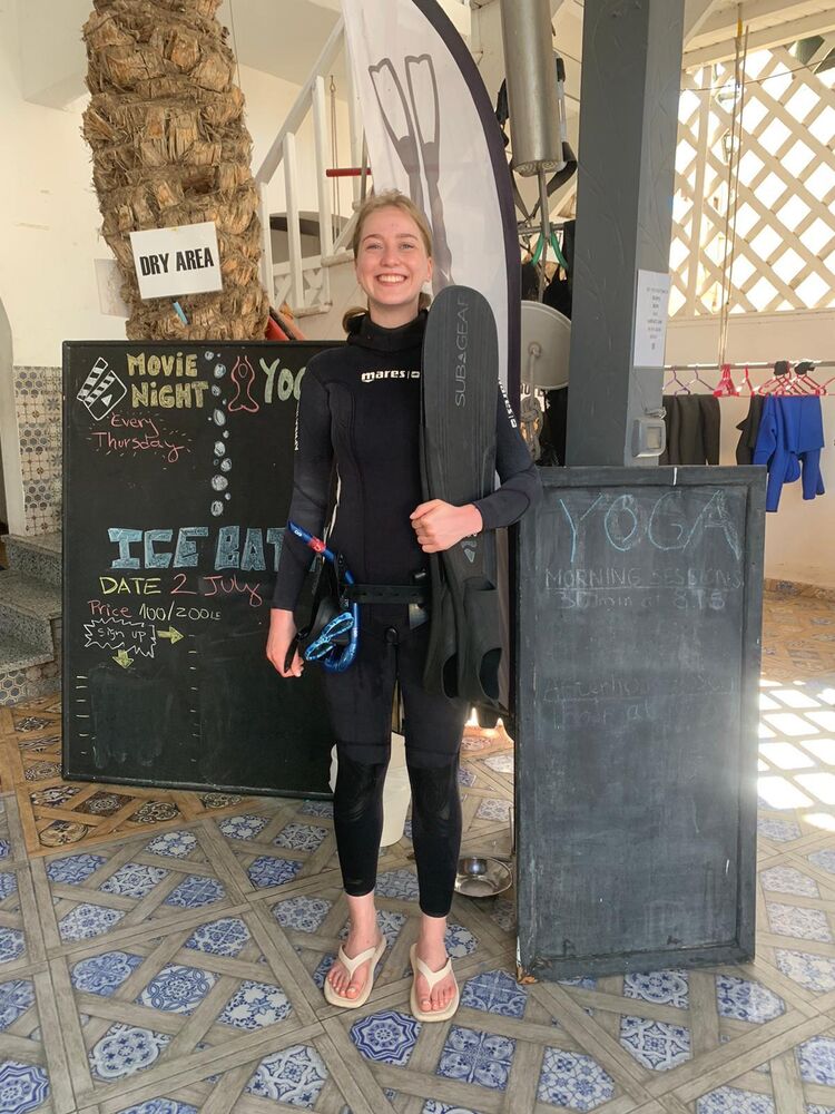  38059800  , 26 ,    -