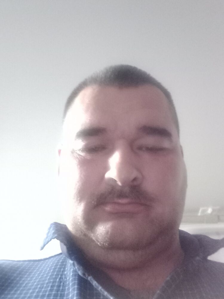 ���� 55699280 ������� �������, 41 ���, ���� ���������� � ��������