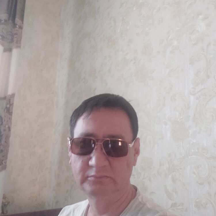  46078560  , 49 ,    