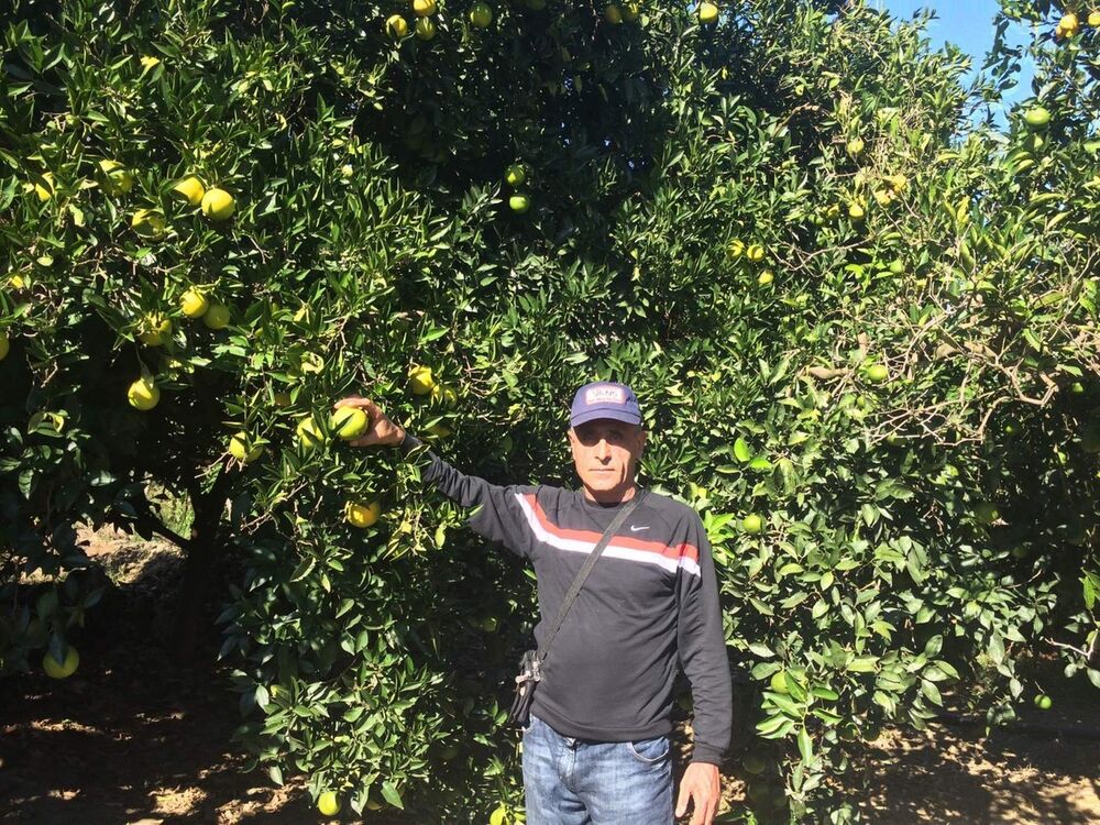 ���������� ������������, ���� ������� ���, 56 ���, ������������ 