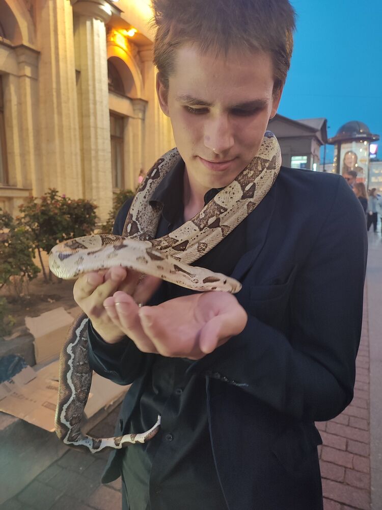 ���������� ������������, ���� ����� ����, 21 ���, ������������ ��� ������, ����� � ���������, c�������� ���������