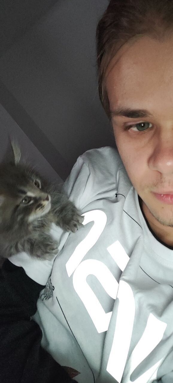 ���� 24781100 ����� Yep, 21 ���, ���� ���������� � ������