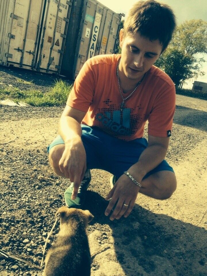  ,   , 35 ,   