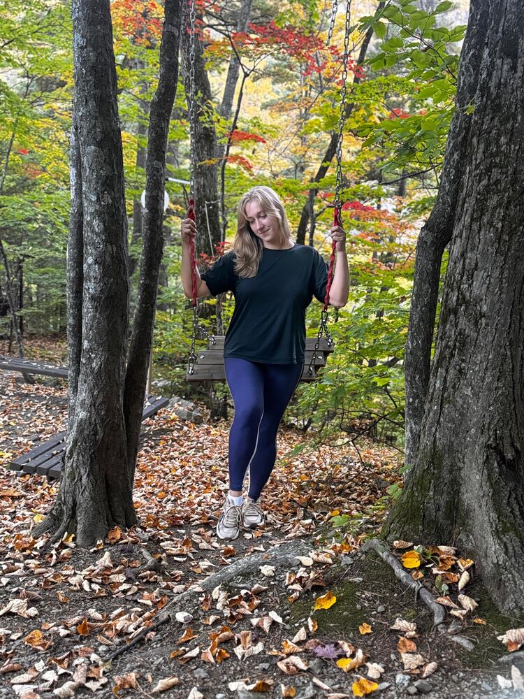 ���������� �����������, ���� ������� ������, 33 ����, ������������ ��� c�������� ���������, ���������