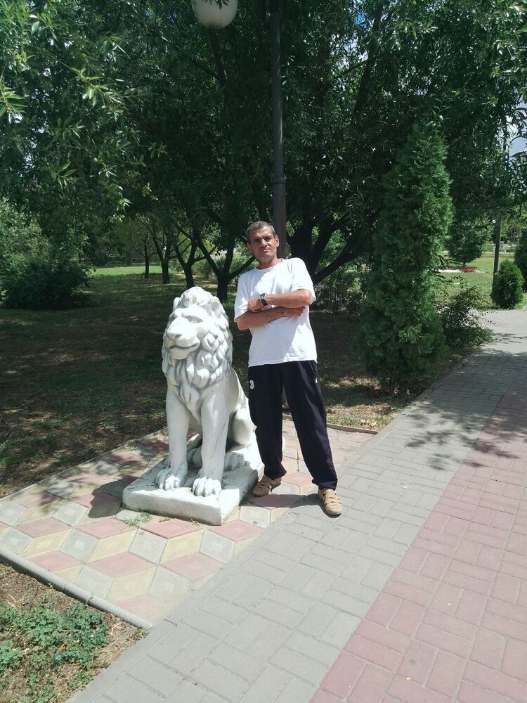  44987370  , 51 ,    