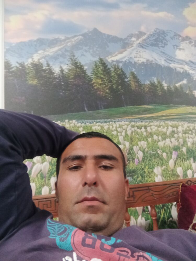 ���� 41542510 ������� ������, 40 ���, ���� ���������� � ��������