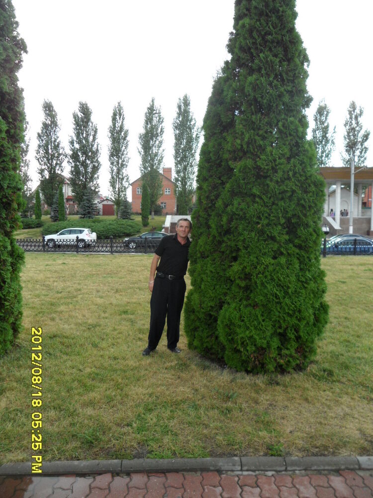  ,   , 54 ,  