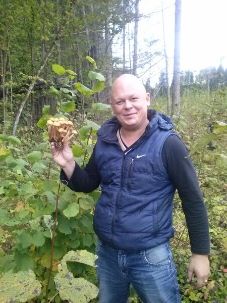 ���� 6556160 ������� ������, 47 ���, ���� ���������� � ��������