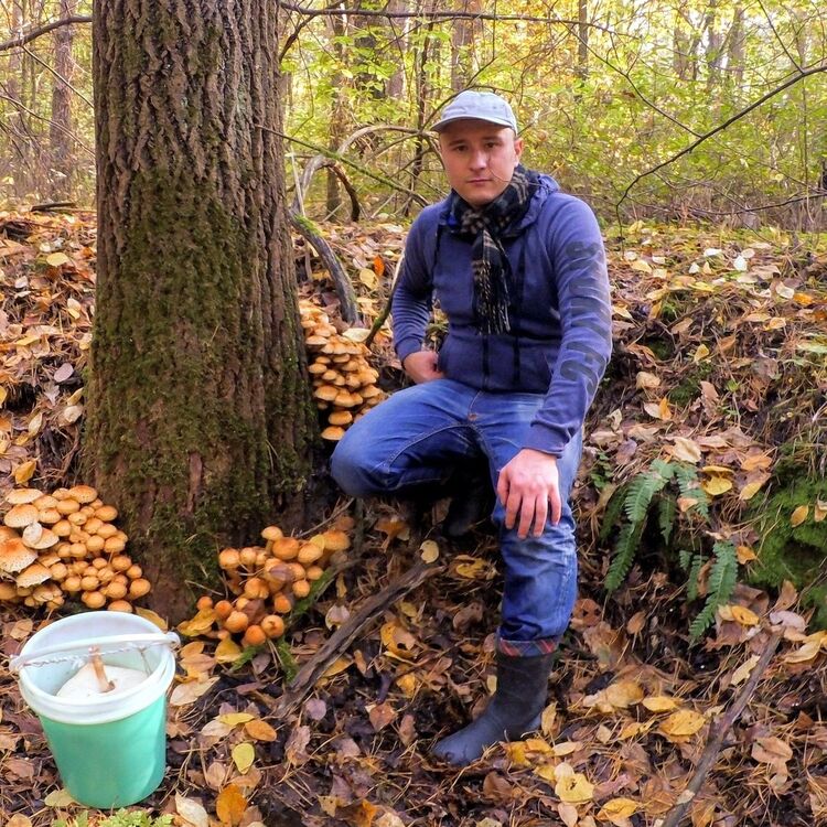 ���������� �����������, ���� ������� �������, 42 ����, ������������ ��� ������, ����� � ���������, c�������� ���������