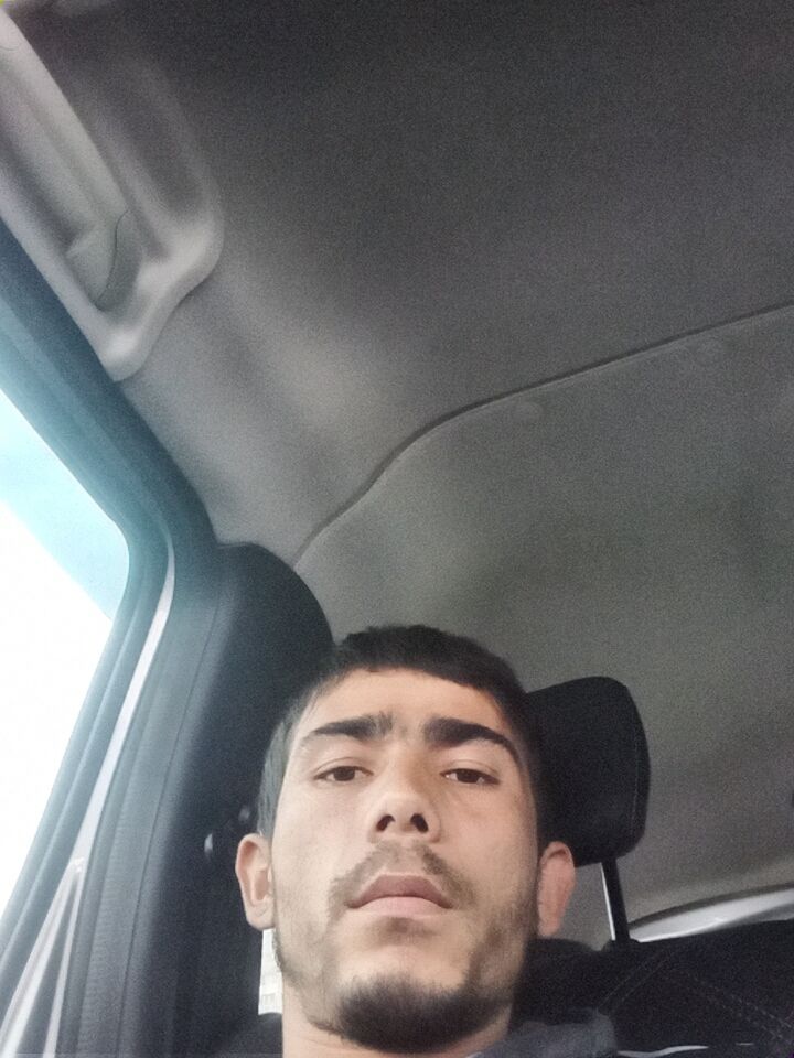  29483030  , 31 ,    