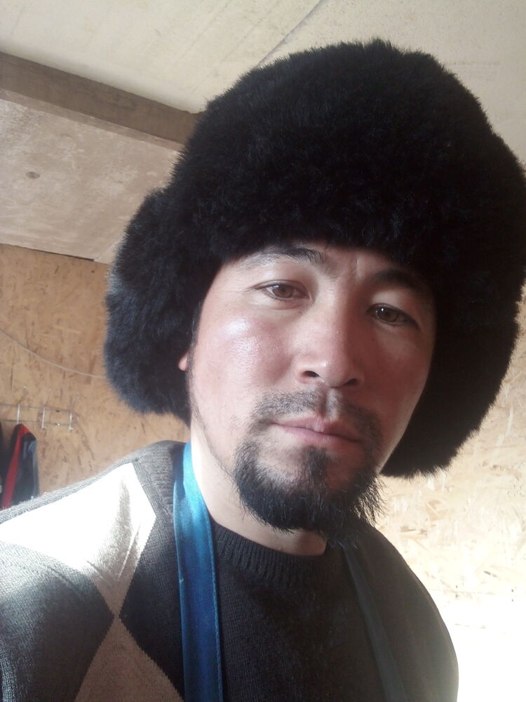 ���� 24434740 ������� �����, 29 ���, ���� ���������� � �������