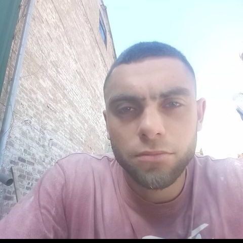  31593660  , 28 ,    