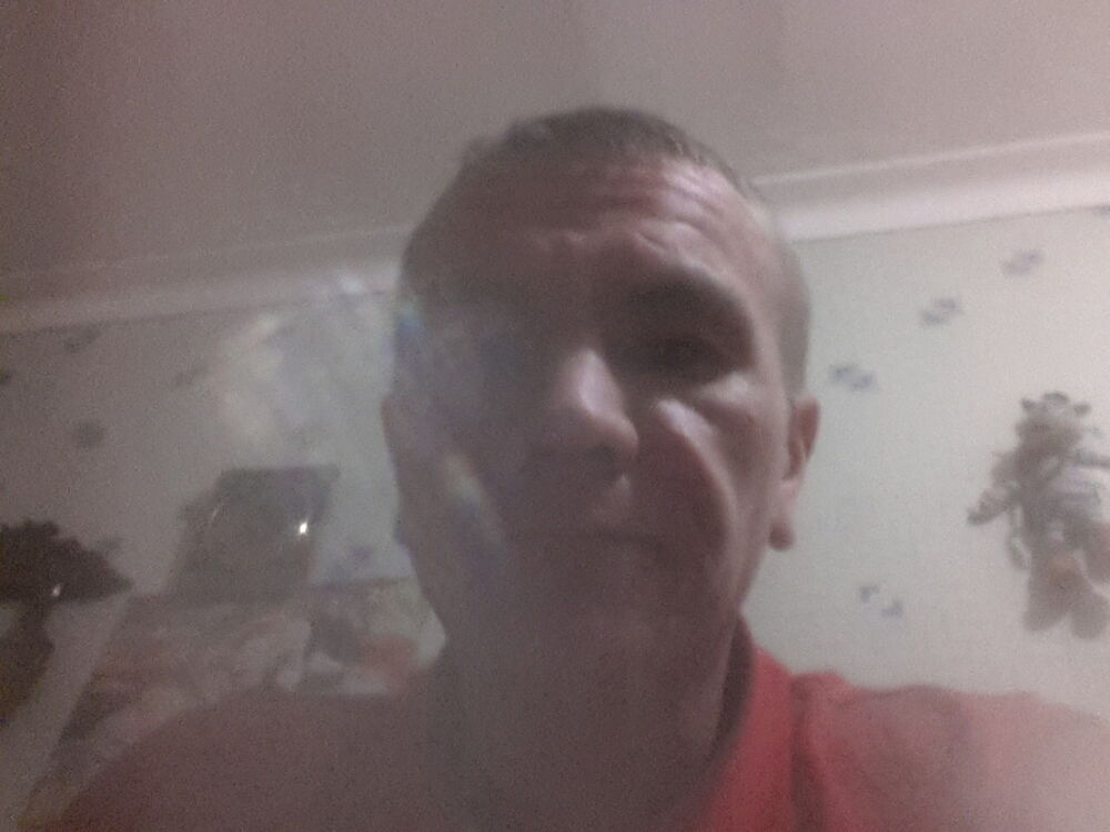  ,   ˸, 43 ,  