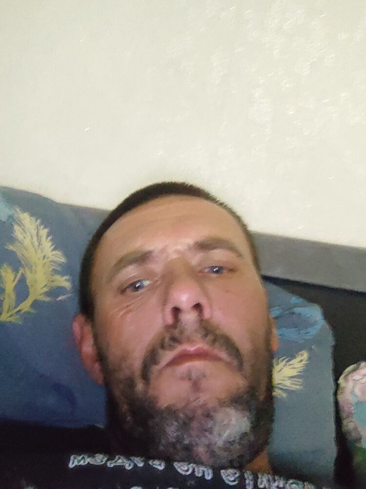 45895930  , 31 ,    
