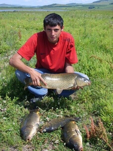 ���������� ���������, ���� ������� ���������, 37 ���, ������������ ��� ������, ����� � ���������, c�������� ���������