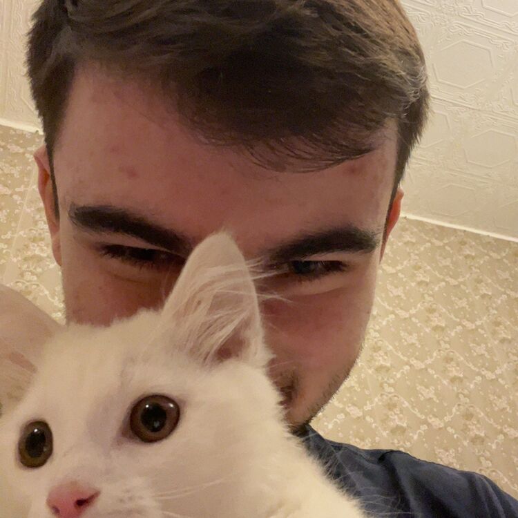  37992230  Tamik, 23 ,    