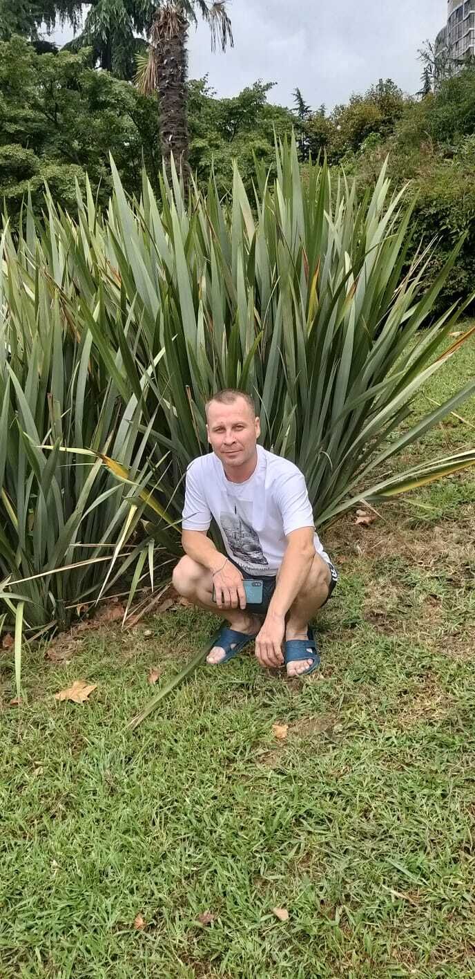 ���������� ������������, ���� ������� ������, 43 ����, ������������ ��� ������, ����� � ���������, c�������� ���������, ���������