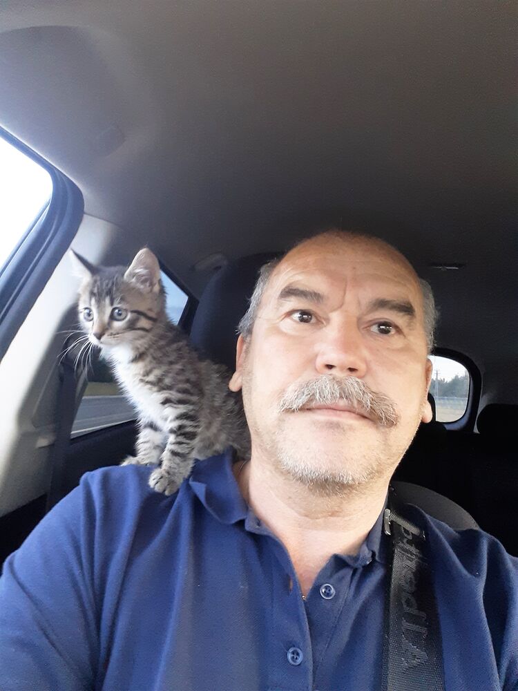  -,   , 57 ,   ,   , c 