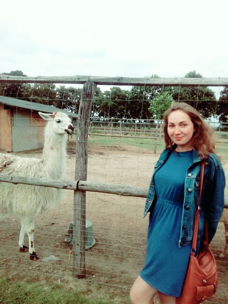  ,   , 29 ,  