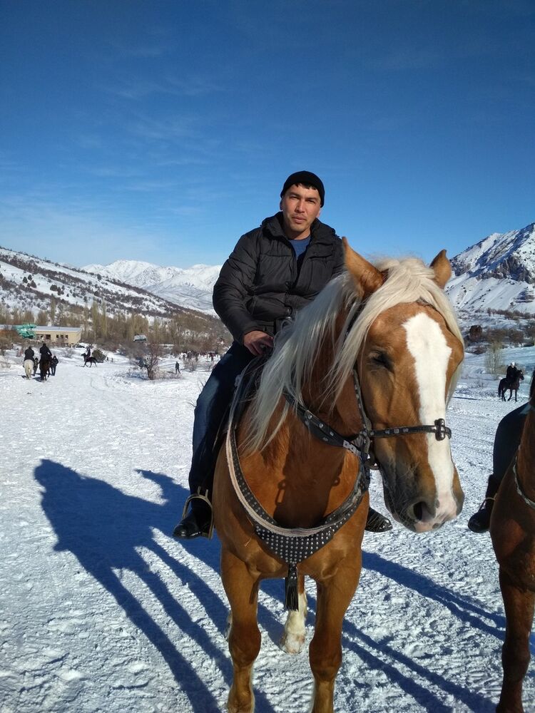  ,   Olim, 42 ,     , c 