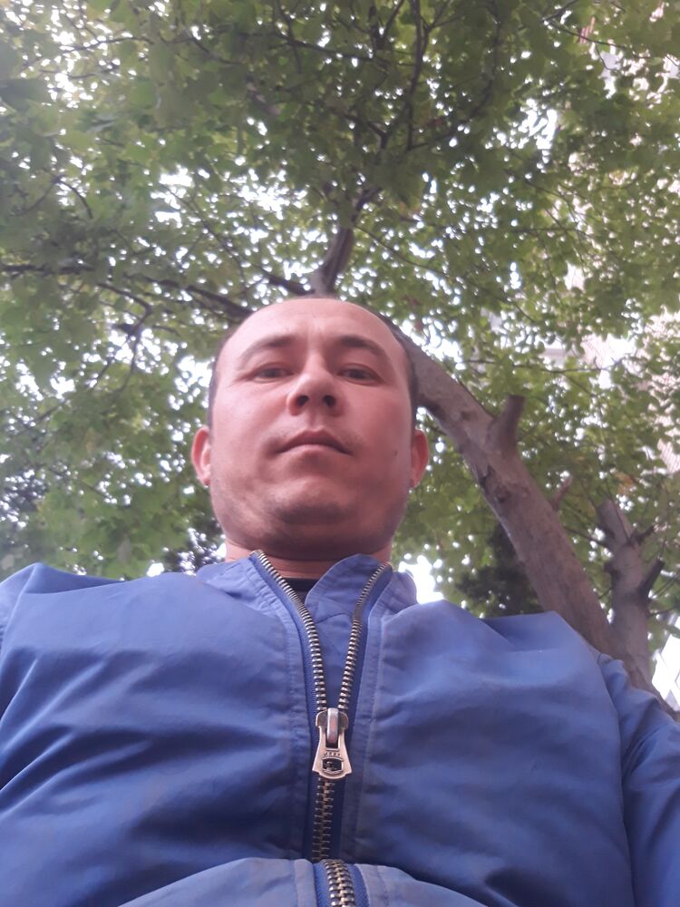  31297620  , 32 ,    