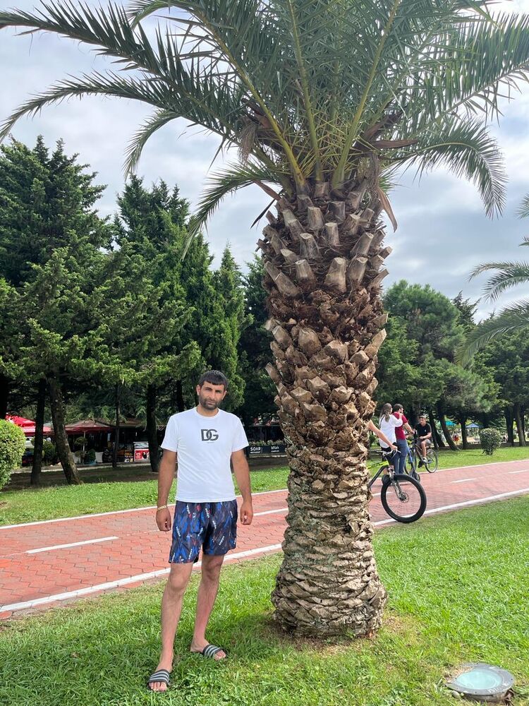  ,   Arman, 28 ,   ,   