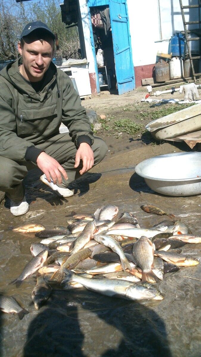 ���������� ���������, ���� ������� ���������, 38 ���, ������������ ��� ������, ����� � ���������, c�������� ���������