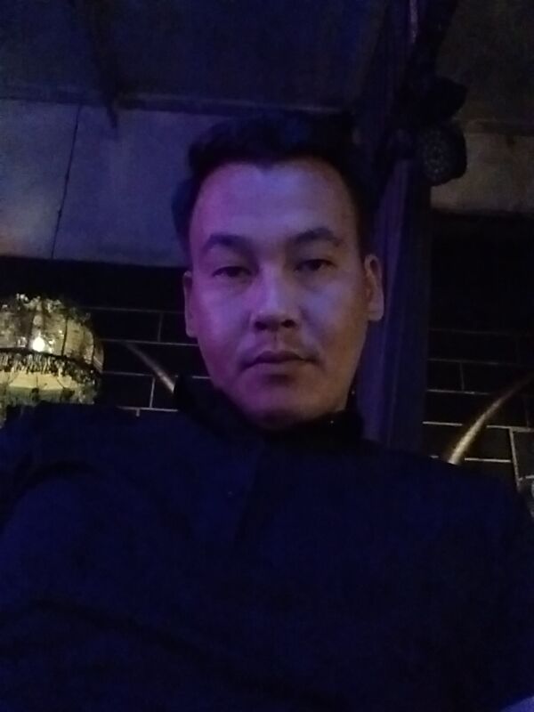  53445810  , 33 ,    