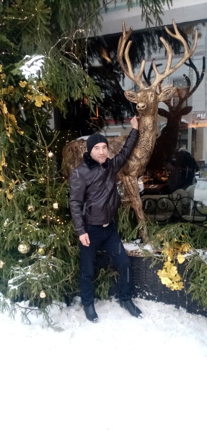 ���� 41511440 ������� �����, 49 ���, ���� ���������� � ������