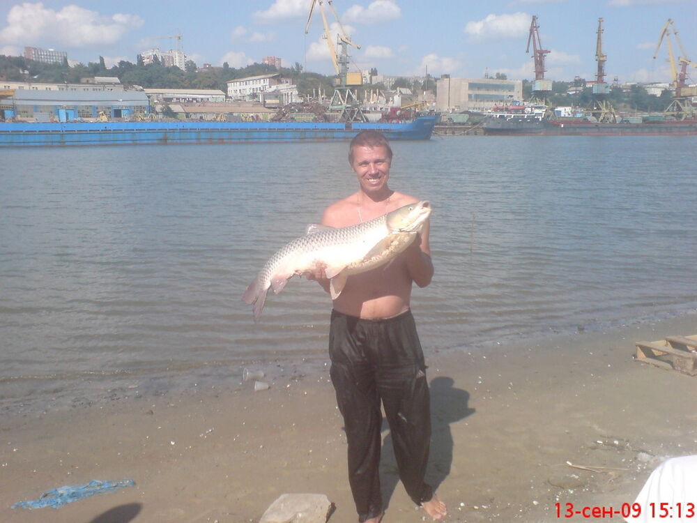  17579570  , 61 ,    --