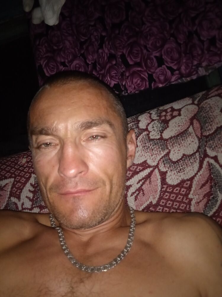  23647240  , 43 ,    