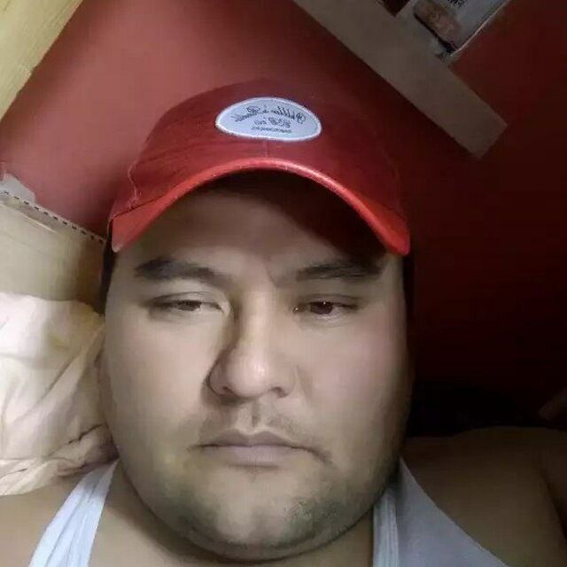  32280640  , 43 ,    