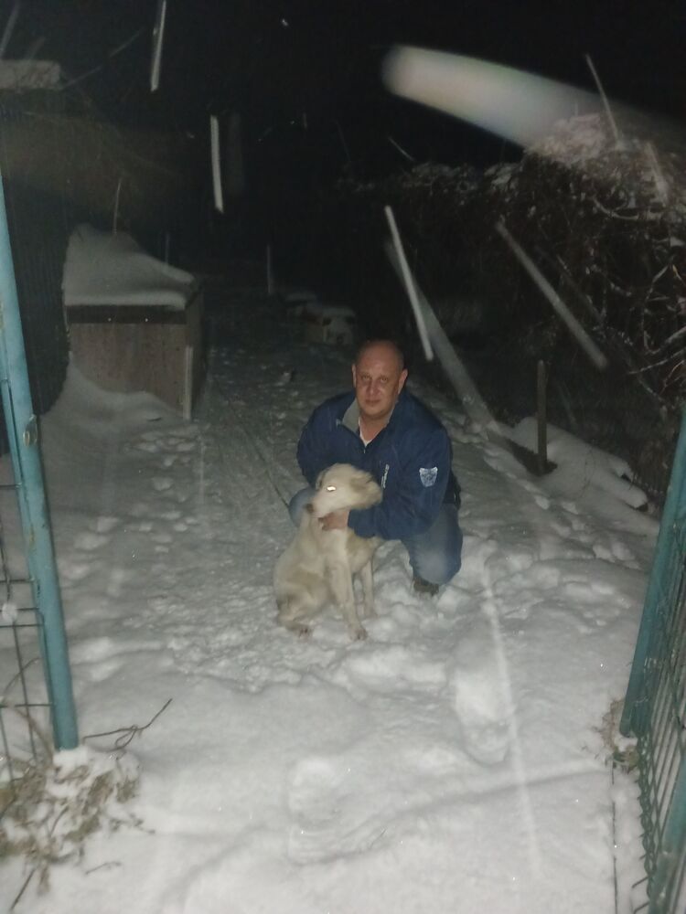 ���������� �����������, ���� ������� �����, 44 ����, ������������ ��� ������, ����� � ���������, c�������� ���������