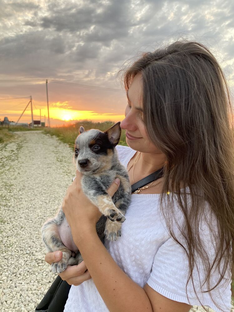 ���� 37259230 ������� ����, 34 ����, ���� ���������� � �����-����������