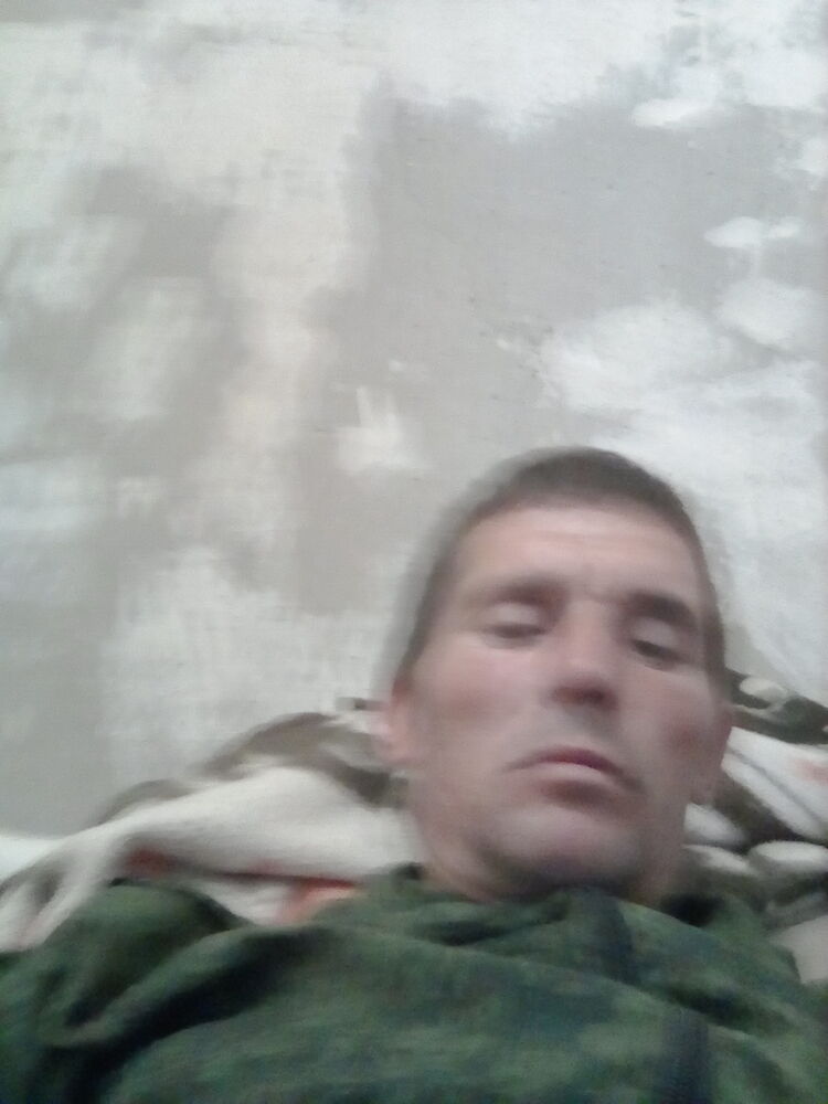  45531190  , 43 ,    