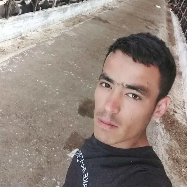 ���������� ����������, ���� ������� ���� �����, 29 ���, ������������ ��� ������, ����� � ���������