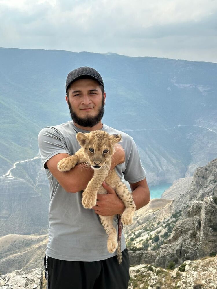 ���� 37316630 ������� �������, 28 ���, ���� ���������� � ���������