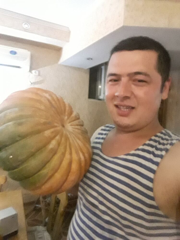 ���������� �������, ���� ������� �������, 38 ���, ������������ ��� ������