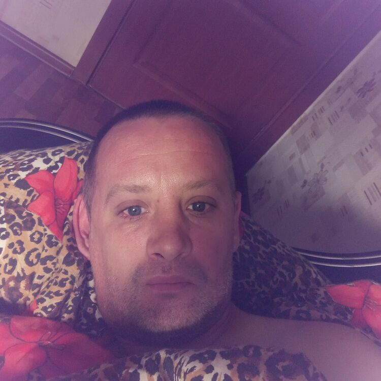  53947820  , 38 ,    