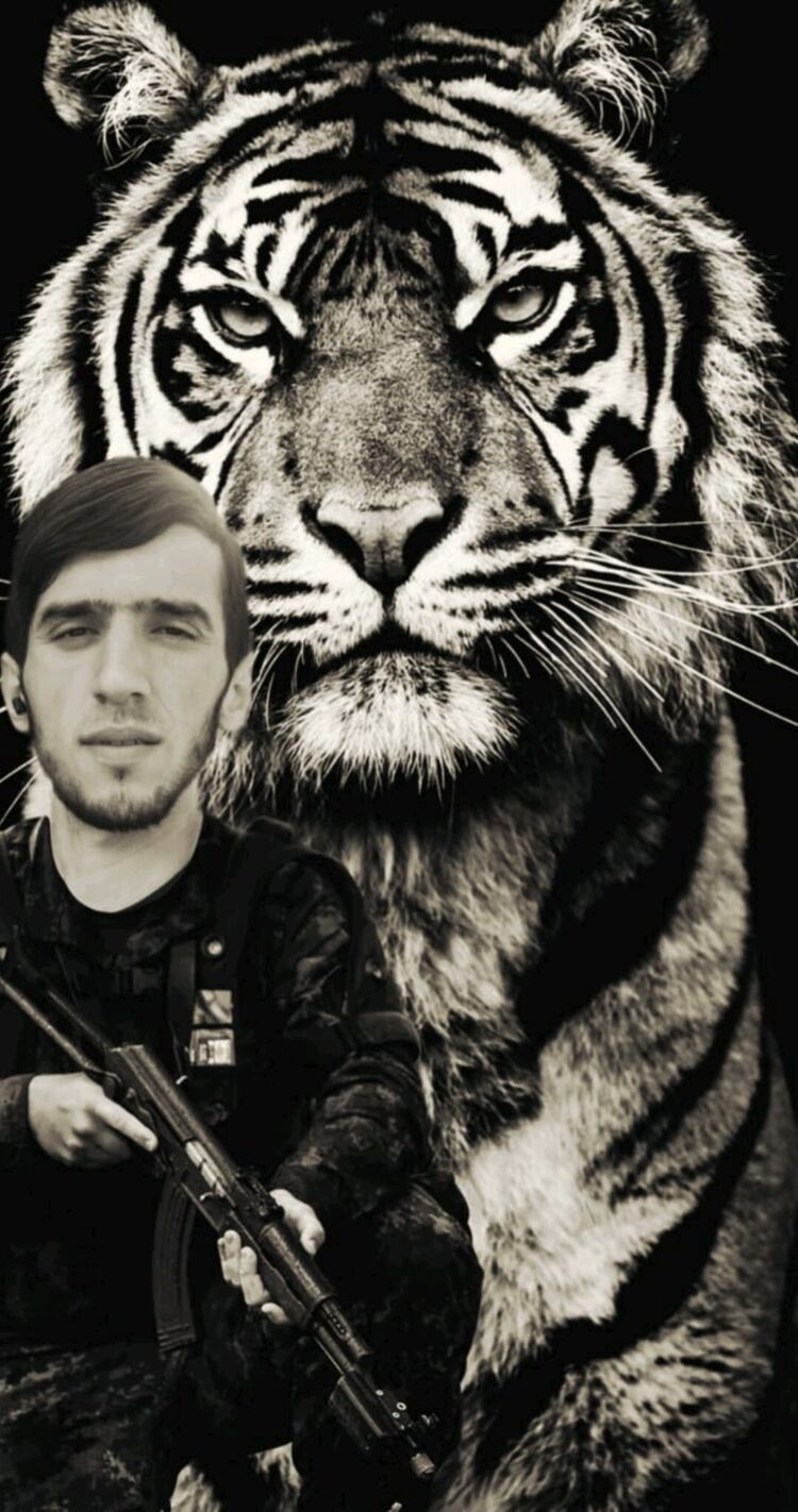 ���������� ������, ���� ����� Navruzjon, 22 ����, ������������ ��� ������, ����� � ���������