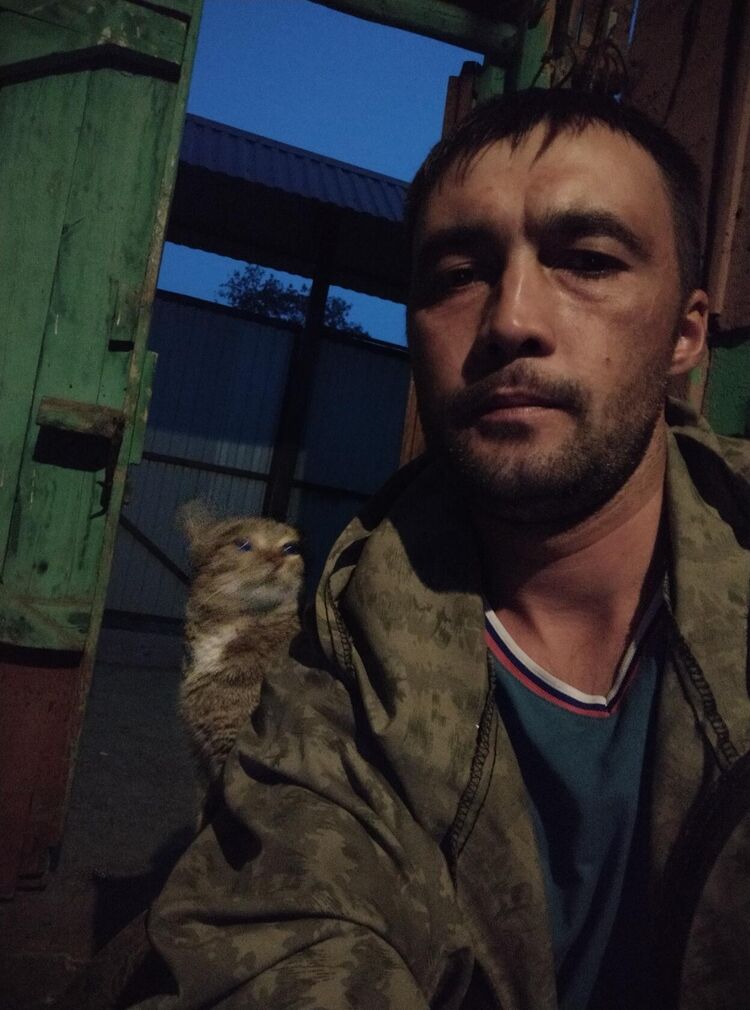 ,   , 36 ,   ,   , 