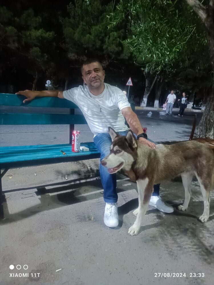  45855080  , 41 ,    