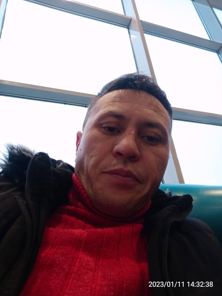  33894590  , 39 ,    