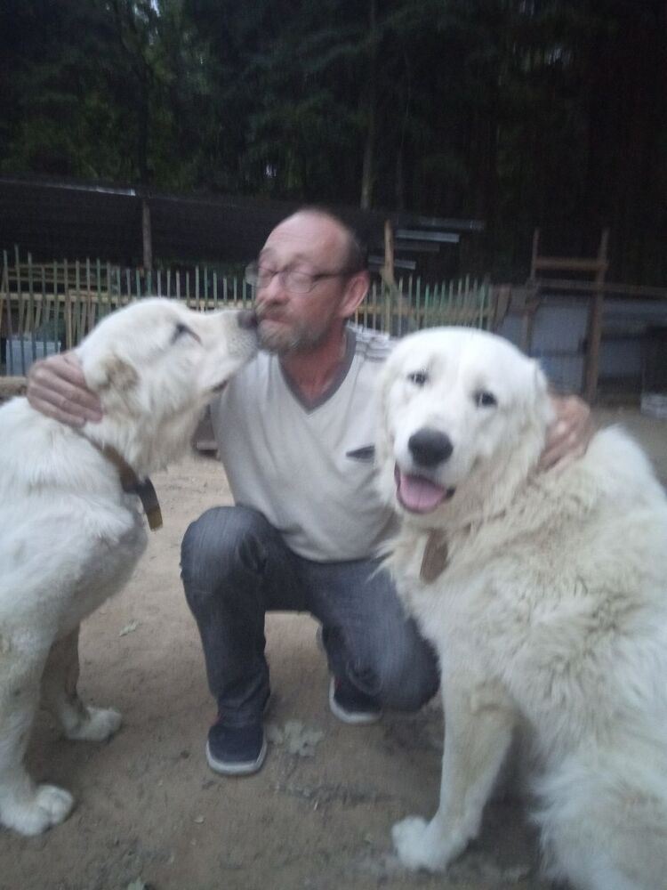 ���������� ���������, ���� ������� �����, 54 ����, ������������ ��� ������, ����� � ���������, c�������� ���������