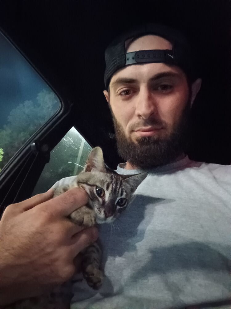 ���������� ���������, ���� ������� �����, 37 ���, ������������ ��� ������, ����� � ���������