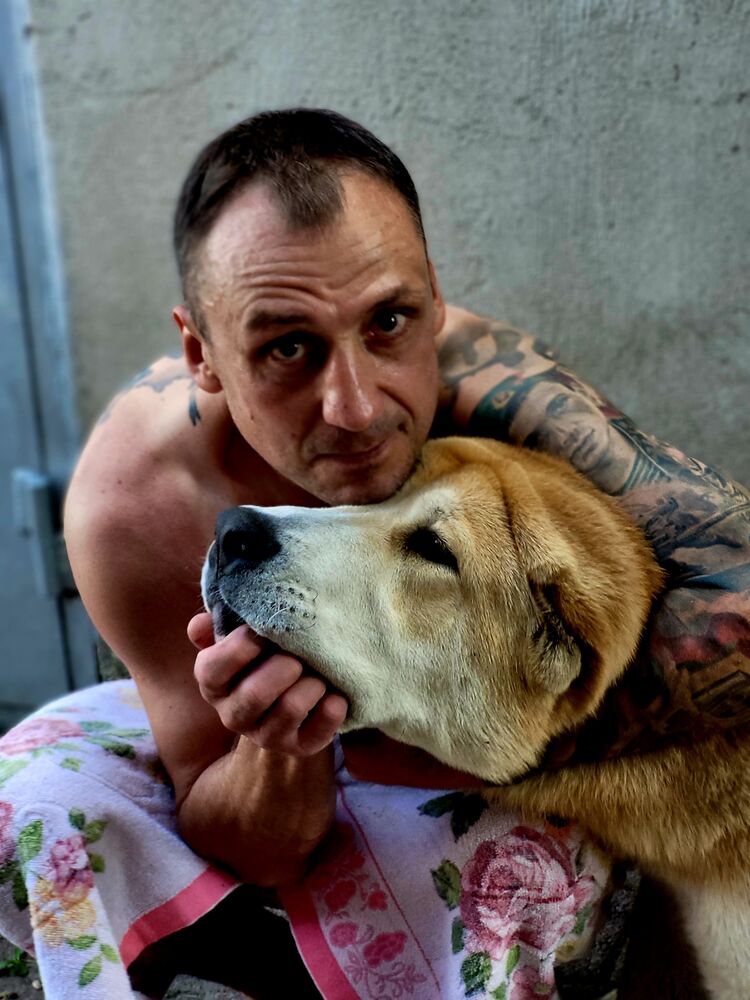 ���������� ���������, ���� ������� A����, 49 ���, ������������ ��� ������