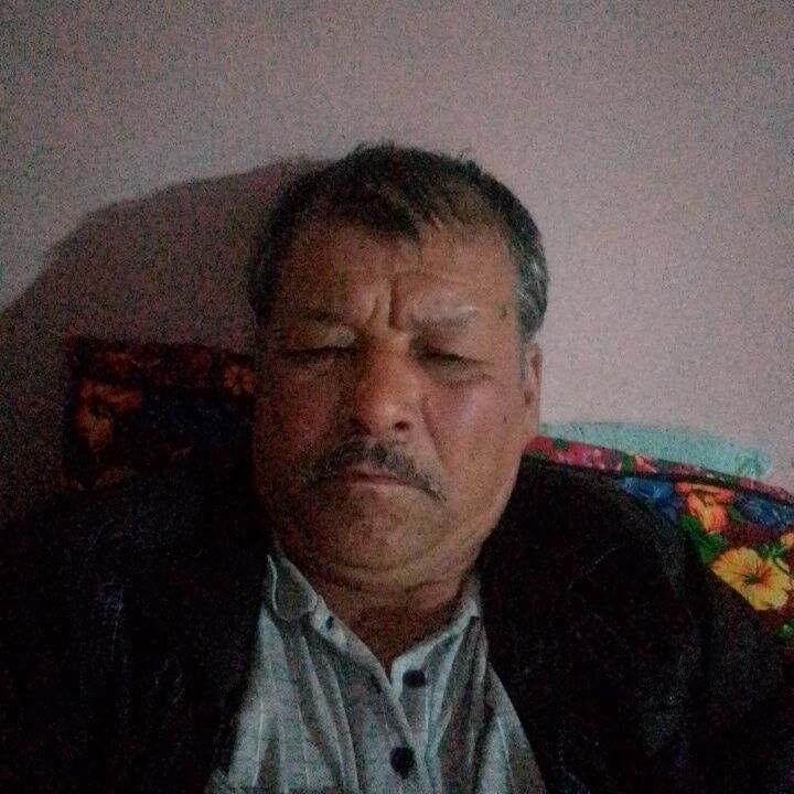  43399650  , 59 ,    