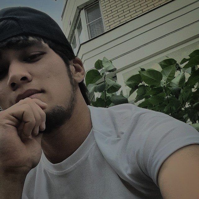 ���� 42790330 ����� Husen, 23 ����, ���� ���������� � ������